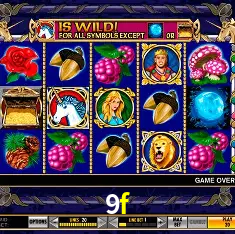 9f Rio de Janeiro - Bonus Terms